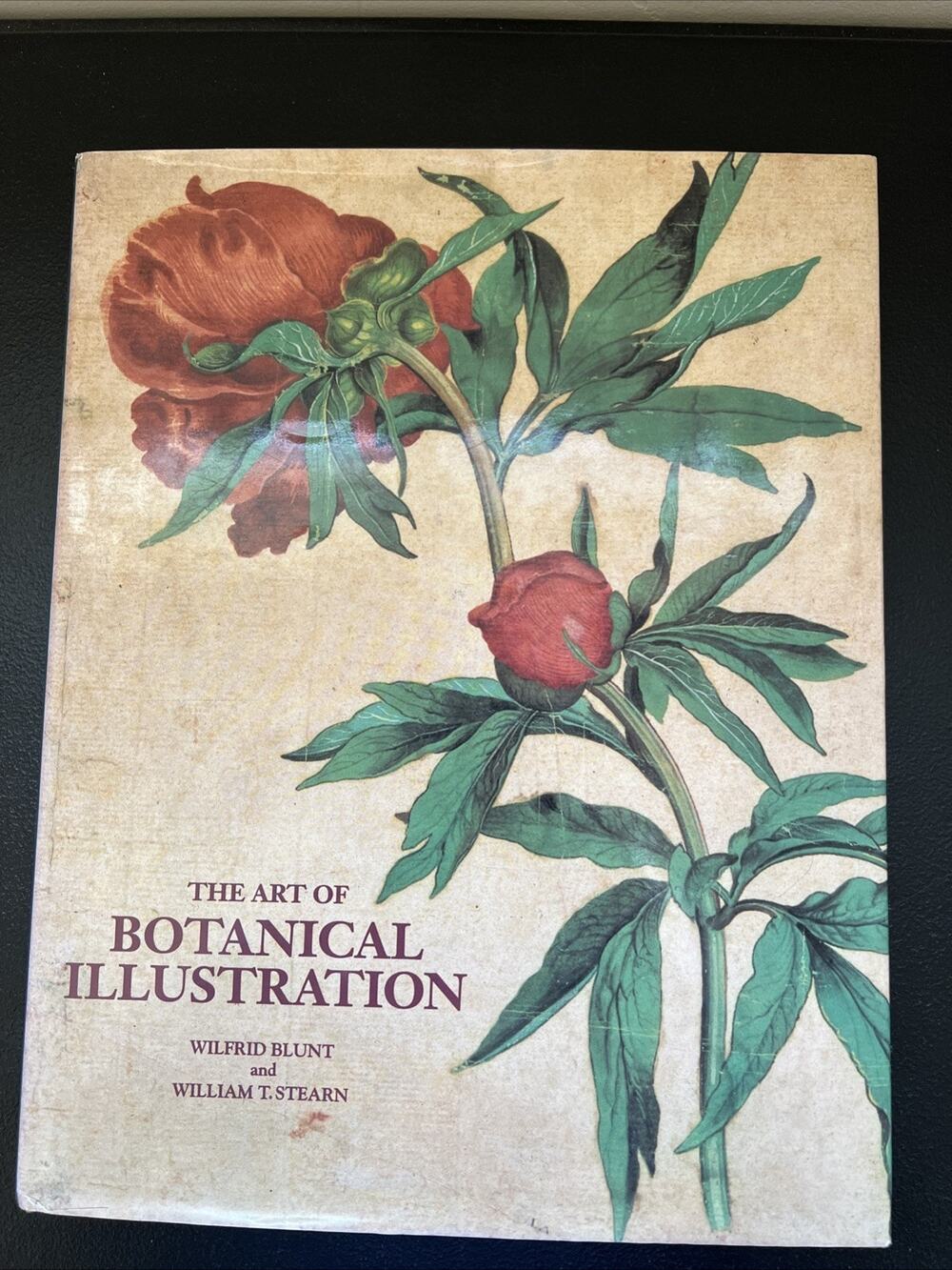 The Art of Botanical Illustration Hardcover Blunt & Stern Revised Edition 1994
